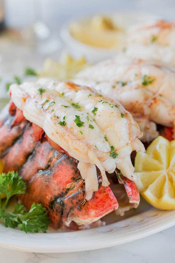 Baked Lobster Tail Recipes With Pictures Besto Blog