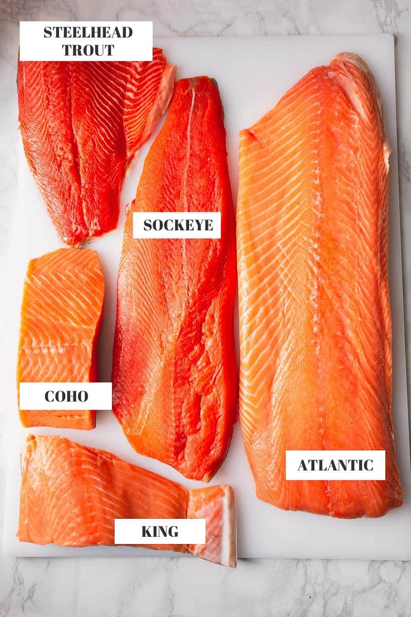 Salmon Varieties 1 1 