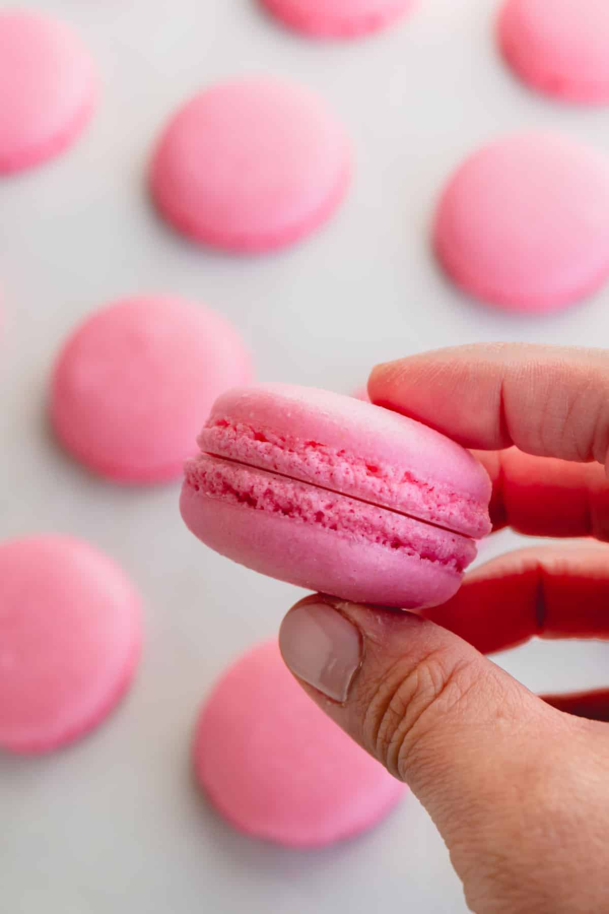 French Macaron Recipe for Beginners ~Sweet & Savory